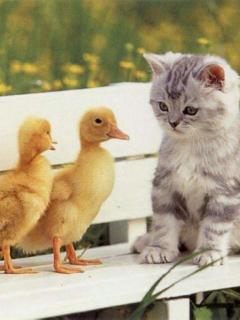 Other Wallpapers 0720